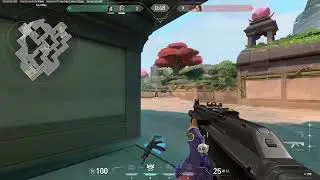 Ruthless Valorant Kill Steals Mastering the Art of Elimination