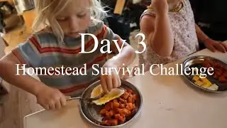 Homestead Survival Challenge 2021 Day 3