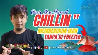 TIPS IKAN SEGAR AWET TANPA BAHAN KIMIA & FREEZER