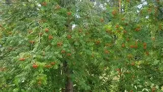 Что можно сделать для защиты ребёнка. От травли в школе, придирок