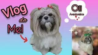 Vlog da Mel