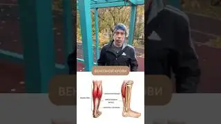 OUTDOOR TRAINING🔥2 ways to stretch your leg muscles 