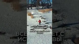 Всем привет с истока Невы — берег Ладожского озера