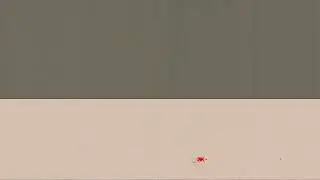 Giantess Astraya, AnirusFere