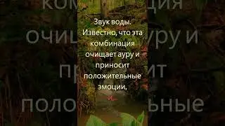 Магическая ангельская частота 55 Гц с звуками воды. Связь с божественностью через звуки природы.