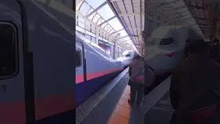 Bullets train in Japan