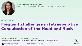 #INTRAOPPATH Frequent Challenges in Intraoperative Consultations of the Head and Neck