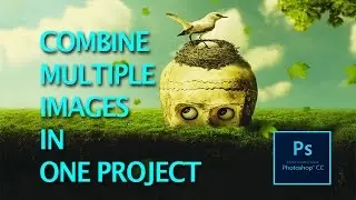 Adobe Photoshop CS How To Combine Multiple Images In One Project