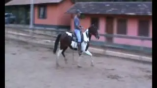 Aliança.wmv