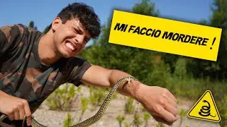 QUANTO FA MALE IL MORSO DI UN SERPENTE?