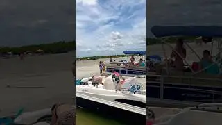 Boating fresh shrimp 🦐👙🎣 #life #fyp #boat #boatlife #live #love #ocean #lake #sun #sunset #usa #i