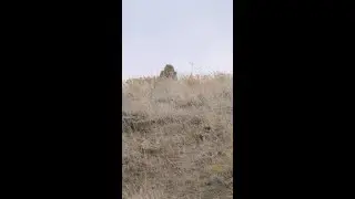 NEW CAMO on Savage Straight-Pull (Impulse Big Game)