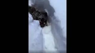 Ой,помогите❄️❄️❄️