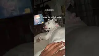My fault OG