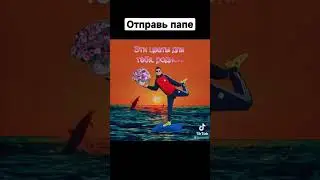 видео привет для папы