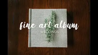 Wedding Album | Jess & Mikey's Vineyard Wedding