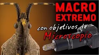 MACRO EXTREMO con objetivos de MICROSCOPIO