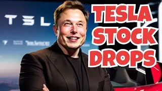 Elon Musk's Pay Package Exposed: The Real Reason for Tesla Stock's Downfall