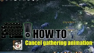 HOW TO: Cancel gathering animation | Black desert online