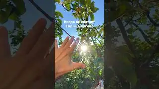 Когда не хватает сил и энергии? Делай это каждый день!