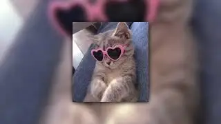 young slo-be - i love you  speed up