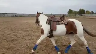 bell boots1