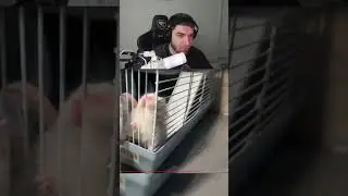Морской харам🤣 