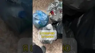 ЭКО мир? Или тупизм? #замужзаараба