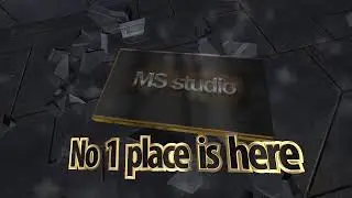 7839904 7323335 P 1