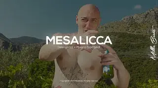 Desingerica x Pljugica Type Beat - "MESALICCA" | Club Type Beat 2024
