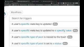Uncanny Automator filter the points in wordpress for example woocomerce with codisional conditions