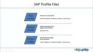 SAP BASIS COURSE: Lec 16. SAP System Parameters.