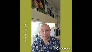 Брокколи - суперфуд польза или вред для собак и кошек 