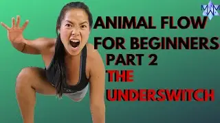 Animal Flow for Beginners, Part 2: Basic Transitions