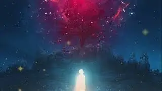 Meditación de Conexión con el Alma para recibir Sanación, Protección y Abundancia