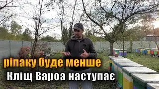 Новини бджільництва жовтень 2023