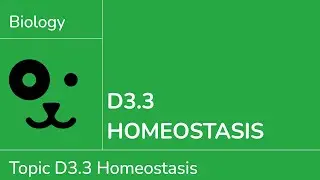 D3.3 Homeostasis [IB Biology SL/HL]