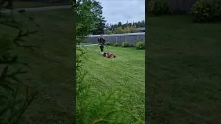эх вы жизни не нюхали;)