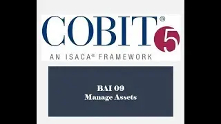 COBIT Processes - BAI09 - Manage Assets 2