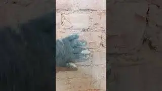 смешно зачистил как сказали