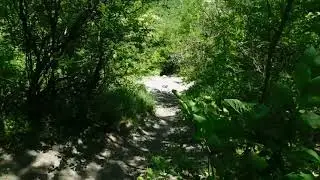 DSCN4506