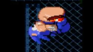 Fat Sonic 3B/Full Walkthrough