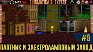 LP ► Minecraft ► Enigmatica 2: Expert #9 - Плотник и электроламповый завод