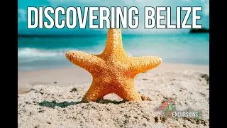 Discovering Belize - A Tropical Paradise 🏖❤🍫☕🐆🦜🍹🐠🥭