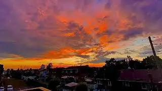 RFP TIMELAPSE