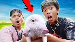 Rarest Animal On Earth 100% Real