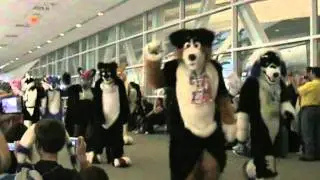 Anthrocon2011 Parade