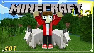 🌎 NOVA SÉRIE SURVIVAL no novo MINECRAFT 1.17 #01