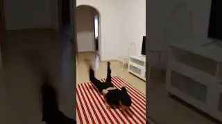 даоаоь Чопз