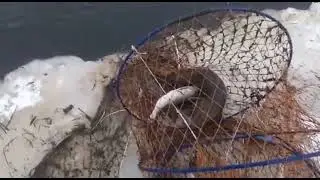 С почином